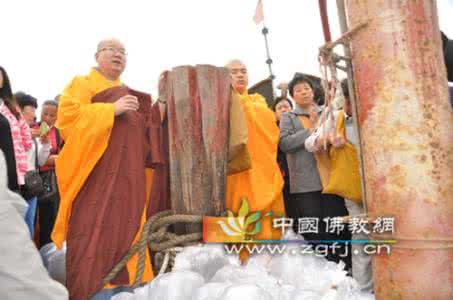 中国佛教放生网 中国佛教放生网 中国佛教网_中国最大的佛教网络 佛教网站 佛教天地 佛教在线