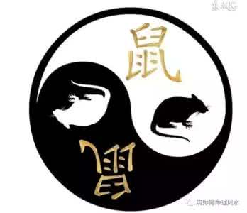 中华命理风水网 天缘风水命理:明年考学顺利,将来前途光明的生肖