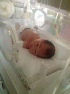 32周胎儿发育标准 促进胎儿肺部发育针 胎儿发育的必需品 大自然促进胎儿发育