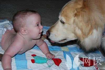 狗狗老是抓痒还用嘴咬 打工仔被狗咬伤用嘴吸