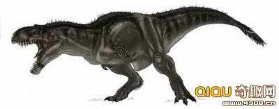 恐龙折纸大全之暴龙 恐龙