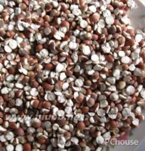 芡实的食用方法 芡实粉怎样食用 中药芡实的食用方法