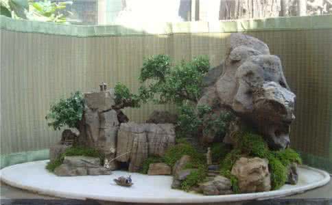 假山盆景制作方法 小型假山盆景制作 小型假山盆景制作方法 假山盆景扮靓美家