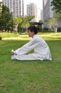 赵子慕林庆 易筋经十二式 《易筋经》（十二）   赵子钞本