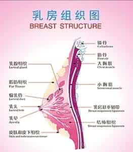 沉降观测方案 观测乳房情况 选对合适的美胸方案