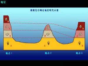 化石层序律 化石顺序律
