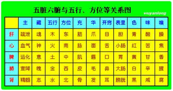 五行五味五脏 五味和五行