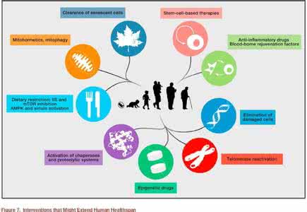 八大诗刊 Cell子刊 癌症研究的八大问题