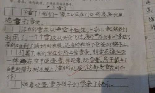 下雪了作文 描写下雪的作文500字范文 下雪了