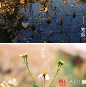 寒露节气天气寒冷防秋燥