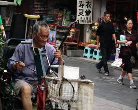 乐声悠扬 冯乐声 悠扬乐声降血压