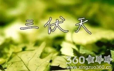 更猛烈些吧 三伏天让汗来得更猛烈些吧