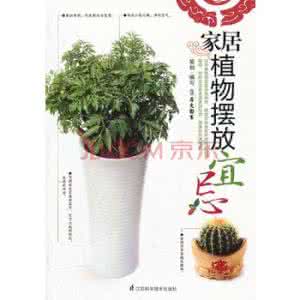 家居植物摆放宜忌 家居植物摆放宜忌 钟表的摆放原则及宜忌