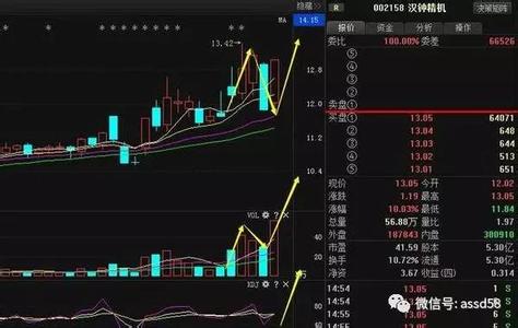 博济医药 造假 博济医药涉嫌数据造假 毛利超国际巨头