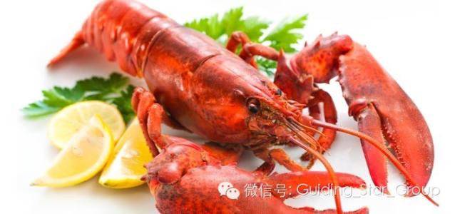 海鲜粥的做法 最全海鲜的做法转