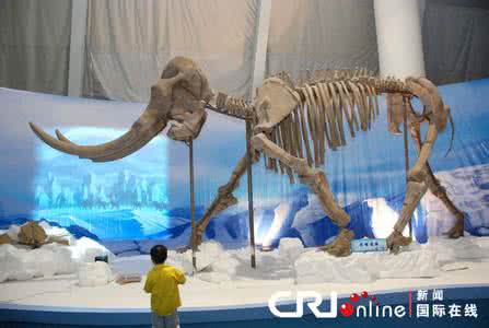 古菱象 古棱齿象