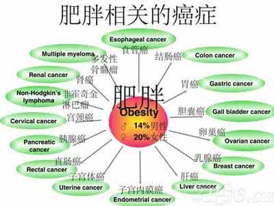 肥胖与癌症 17种癌症与肥胖有关