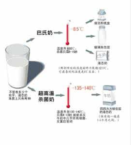 牛奶的功效与作用 牛奶的保存方法-牛奶的功效与作用