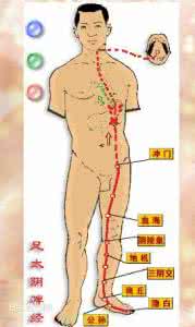 足太阴脾经 足太阴脾经本经腧穴之三阴交|点穴通脉