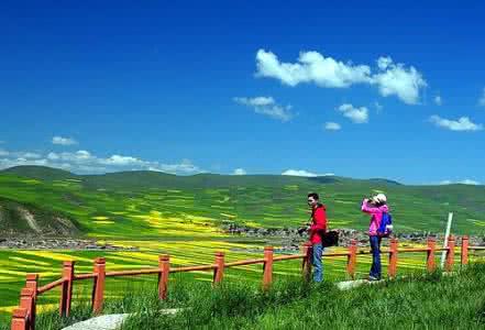 那些中成药滋阴去内热 踏青去内热