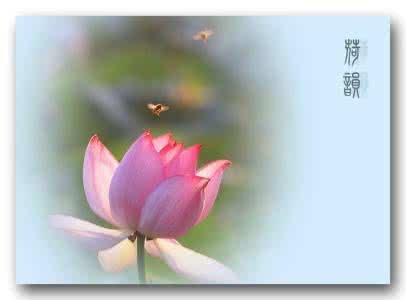 珍惜 珍重 遇上了请珍惜，别过了道珍重