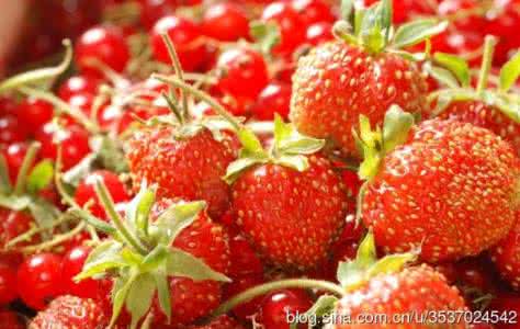 美白祛斑的水果 夏季吃什么水果好 美容水果让你美白又祛斑