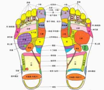 足底按摩图 足底按摩穴位图 让人胃口大开的简单足底按摩