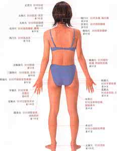 引用公文应当 【引用】 每天应按的三个穴位