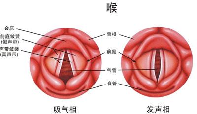 预防喉癌 喉癌的预防 喉癌如何检查 如何自检预防喉癌发生