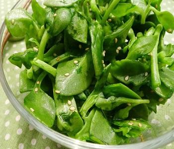 穿心莲的做法大全 【时令果蔬】穿心莲的做法大全