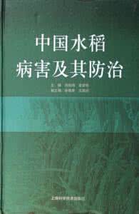 小学数学应用题 历年司法考试答案解析 小学数学上学期历年考试应用题解析及答案（1