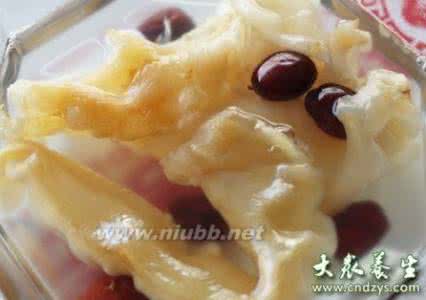 鱼胶的做法 鱼胶是什么 鱼胶是什么 鱼胶的做法有哪些