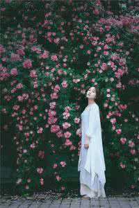 温暖心灵的情感美文 花解语【情感美文】