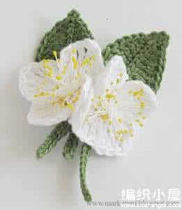 漂亮的钩针毯子图解 漂亮逼真的钩针茉莉花