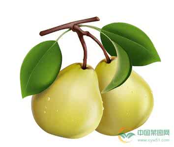 哪些水果可以降火 哪些水果可以降火 哪些可以降火的水果?