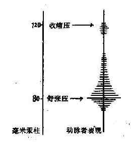 收缩压和舒张压的区别 收缩压和舒张压的高低代表什么？