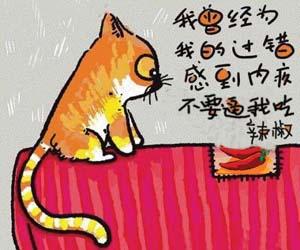 励志故事 猫吃辣椒