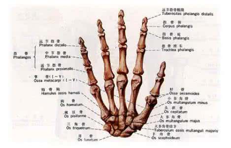 手指关节错位怎么办 手指关节错位 手指错位怎么办?