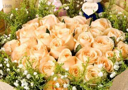 19朵黄玫瑰花语是什么 19朵香槟玫瑰花语是什么