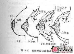 女性怀孕后一定会停经 怀孕后女性生理反应有哪些