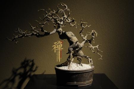 品禅意人生,让心归简静 禅意人生