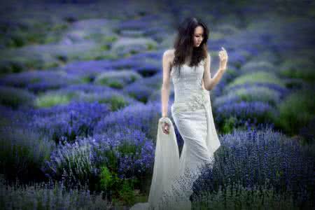 繁花 美文 为你,开成遍地繁花【情感美文】