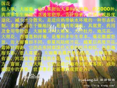 墨西哥 墨西哥喜劇片【行迹變幻】