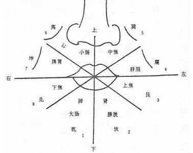 面部全息图 面部全息图(详解)