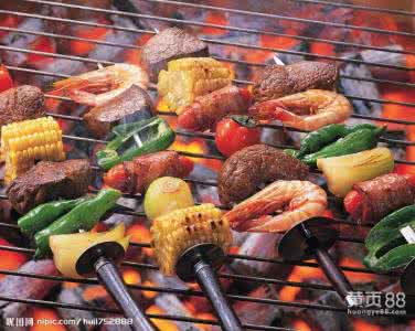 烧烤配料大全 烧烤技术及配料大全