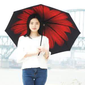 防晒防紫外线遮阳伞 防晒防紫外线遮阳伞 女司机如何防紫外线?女司机左脸防晒美容法