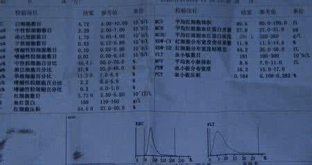 单核细胞百分比正常值 单核细胞百分比偏高 单核细胞的正常值