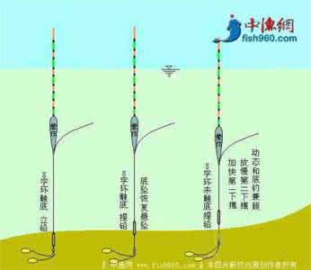 双坠双钩钓鱼子线长度 子线钩距调整的基本原则（钓鱼技巧）-头条网