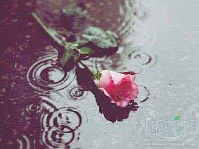 爱情与逻辑的关系 爱情里的种种逻辑