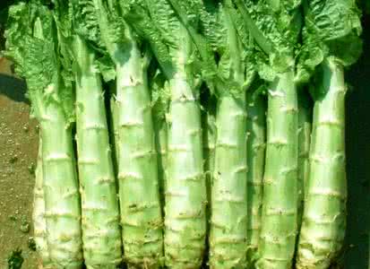 吃什么清肝毒 日常吃什么可以清肝毒